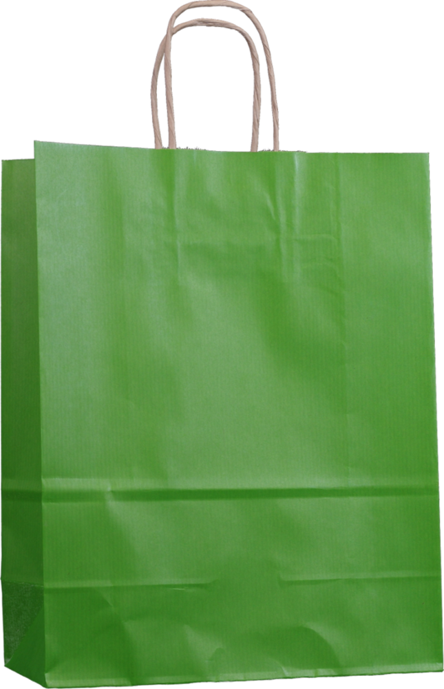 48 Stück Papier Tragetasche blau rot gelb grün 18 8 x 22 cm mit Papierkordeln